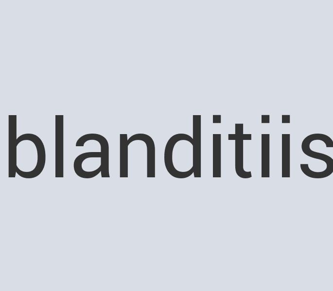 Aerodynamic Leather Qleen