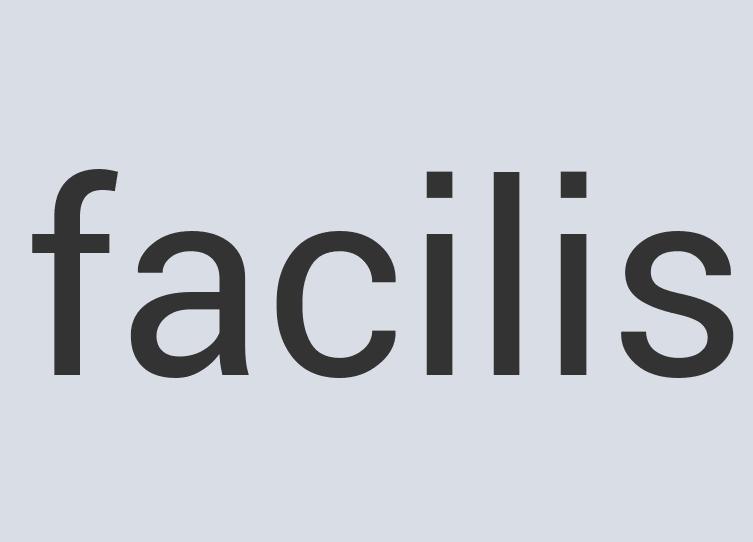 Aerodynamic Granite FaceForce