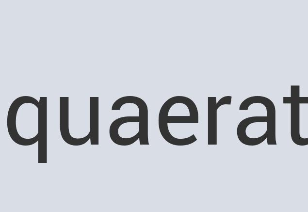 Aerodynamic Silk Quick Turtle