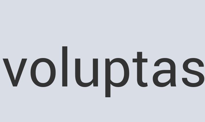 Aerodynamic Paper Punacium