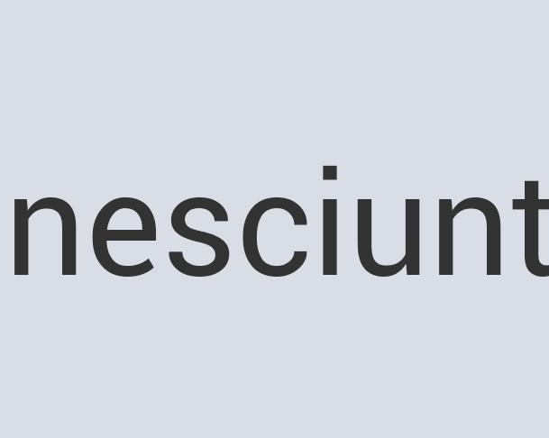 Aerodynamic Iron The Chopper’s Block