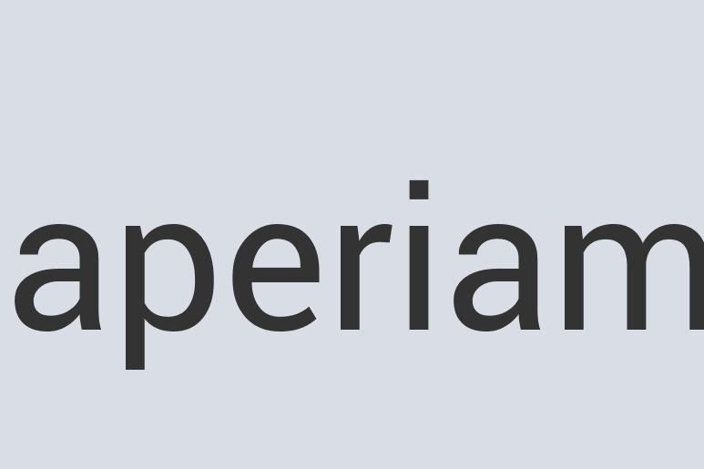 Aerodynamic Leather Zizzy