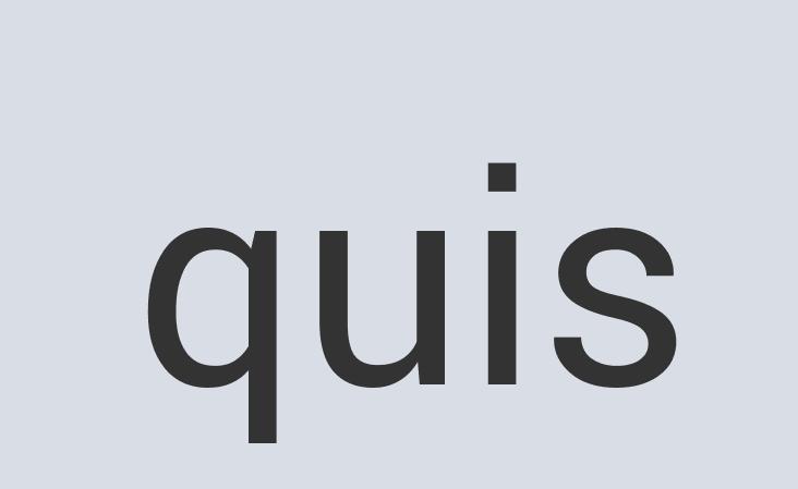 Aerodynamic Aluminum Aesthetic Bug Gloss